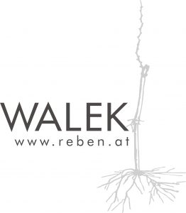 Logo Walek
