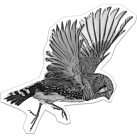 Early Bird Icon Sonnenpower für Michael Auer
