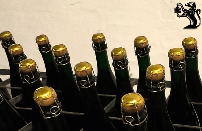 Bio-Weinpakete Magnum