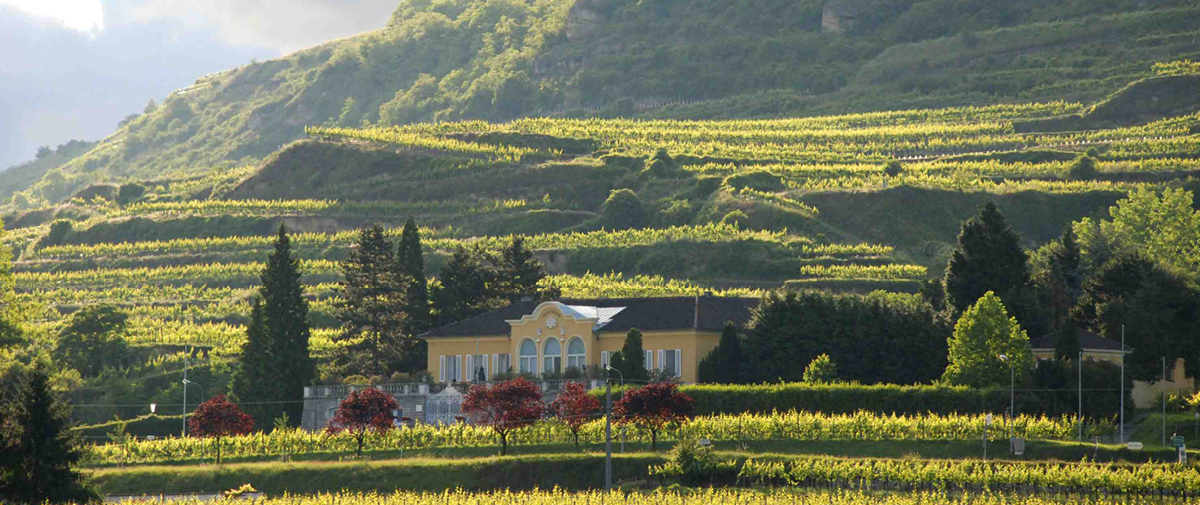 Das Weingut inmitten der Berge