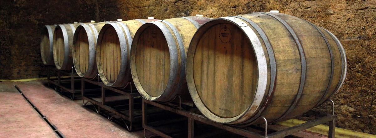 Die Kellereien des Weingut Roch