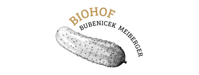 Bubenicek Logo